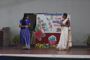 21001 skit.resized.JPG