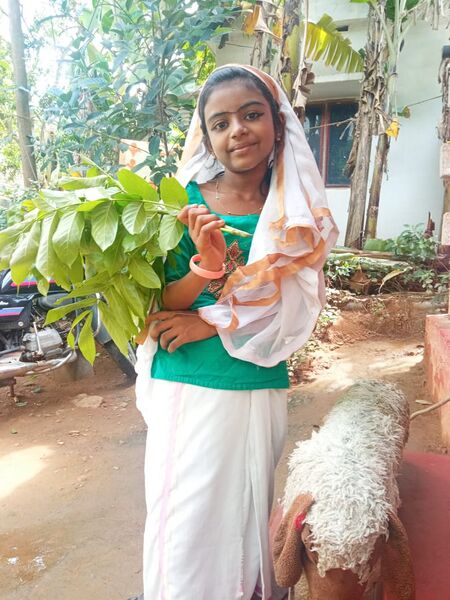 പ്രമാണം:21706 basir2.jpeg