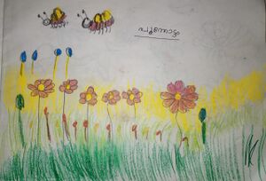 24630-TSR-KUNJU-RIYA CA.jpg