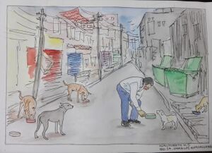 25807-lock down activity.jpg