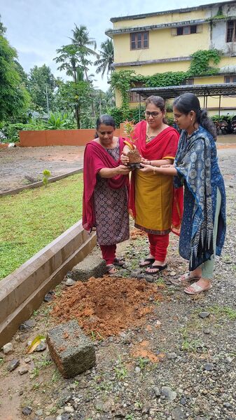 പ്രമാണം:27036 pkd envv2.jpg