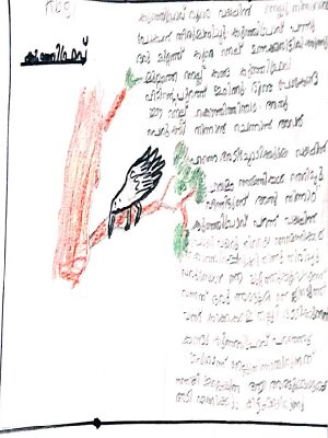 29040-IDK-KUNJ-ABEL SHIJO.jpeg