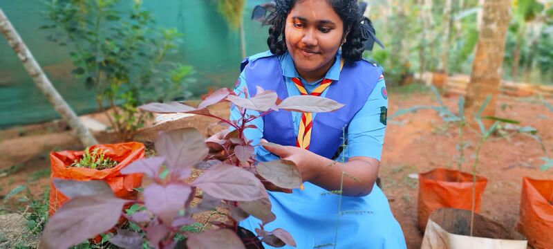 പ്രമാണം:31076 6.jpg