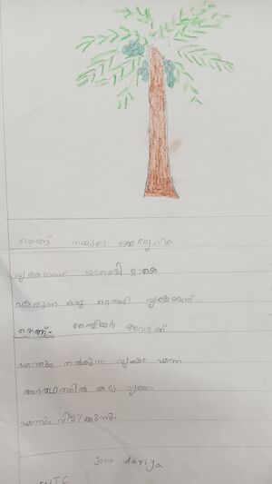 34331-ALP-KUNJ-JONA MARIYA 1C (1).jpg