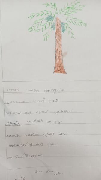 പ്രമാണം:34331-ALP-KUNJ-JONA MARIYA 1C (1).jpg