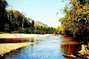 40005-entegramam-achankovil-river.jpg