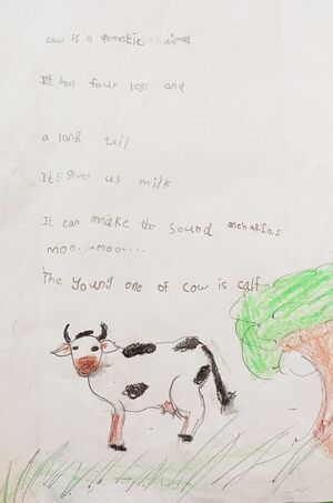 42318-TVM- KUNJ-MEHRIN S.jpeg