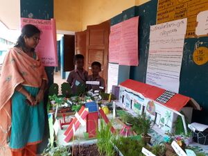 44055 LP SS Mela.resized.jpg