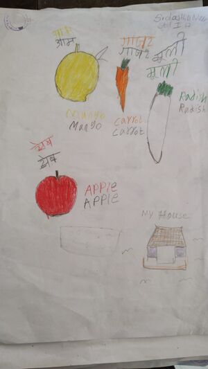 45055-KTM-KUNJ-SIDDARTH .jpeg.jpg