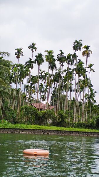 പ്രമാണം:47339 chennamangalur.jpg