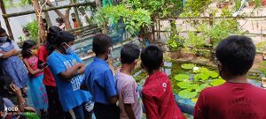 BS21 KLM 41451 2.jpg