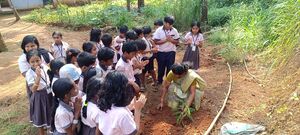 BS24 PKD 20440 3.jpg