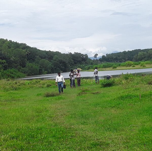 പ്രമാണം:Eco 42003q.jpeg