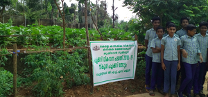 School vegetable garden.png