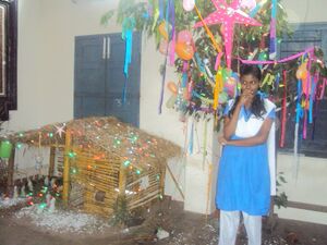 Xmas 14 35052 (6).JPG