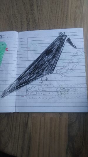 11469-KGD-KUNJ-AHAMMED SHAHZIN.jpeg