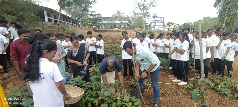 പ്രമാണം:12017 veg 2025.jpeg
