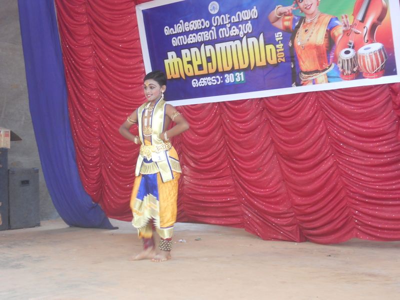 പ്രമാണം:1310479.jpg