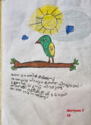 13379-KNR-KUNJ-MARIYAM T.jpg