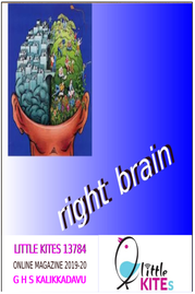 Right Brain ---- ജി എച്ച് എസ് കാലിക്കടവ്