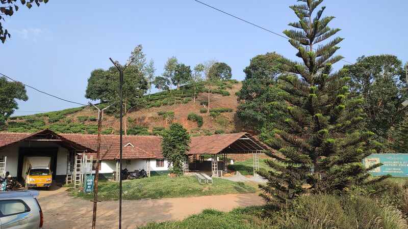 പ്രമാണം:15001 teaplantation.jpg