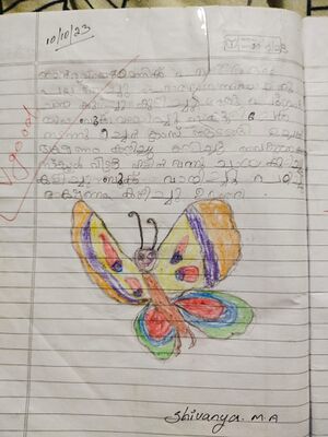 15072-WYD-NIVED P S.jpg