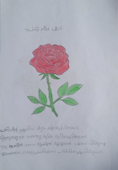 പ്രമാണം:19865-MLP-KUNJ-HANIH IB.jpg