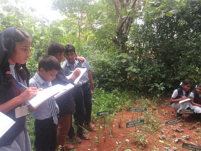 പ്രമാണം:24071 ECO9.JPG