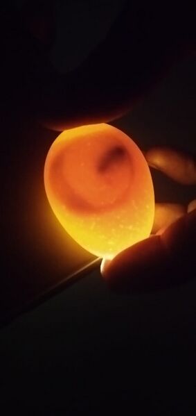 പ്രമാണം:26056 mob photo.jpg