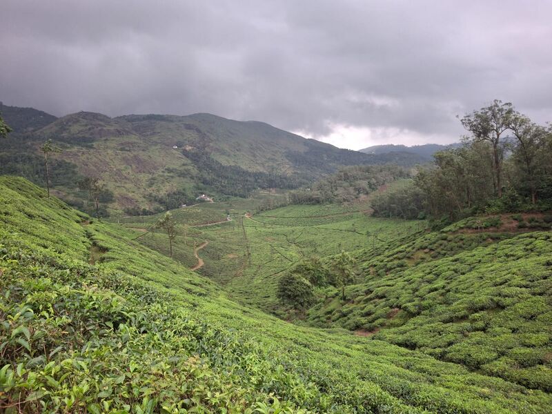 പ്രമാണം:30444ENTE GRAMAM 2.jpeg