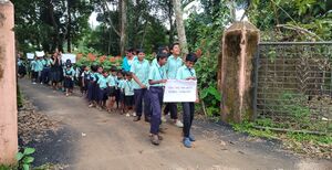 31262- valavoor-hiroshima4.jpg