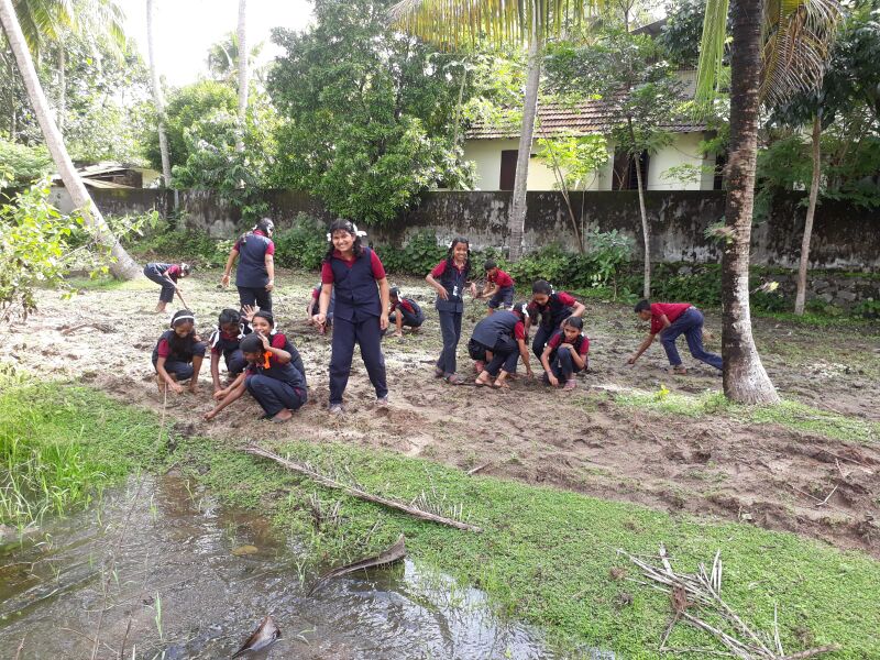 പ്രമാണം:34035 UPLOADS PD6(5).jpeg