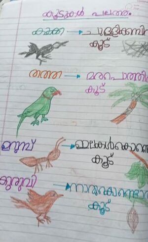 35002-ALP-KUNJ-ABHIRAM V R 23.jpg