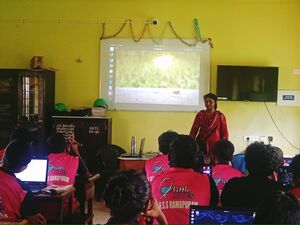 36065 lkcamp265.jpg