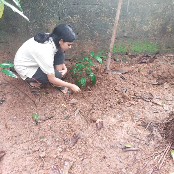 പ്രമാണം:44018 e26.jpg