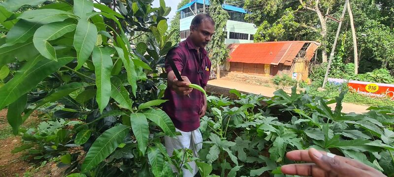 പ്രമാണം:44029 2492.jpg