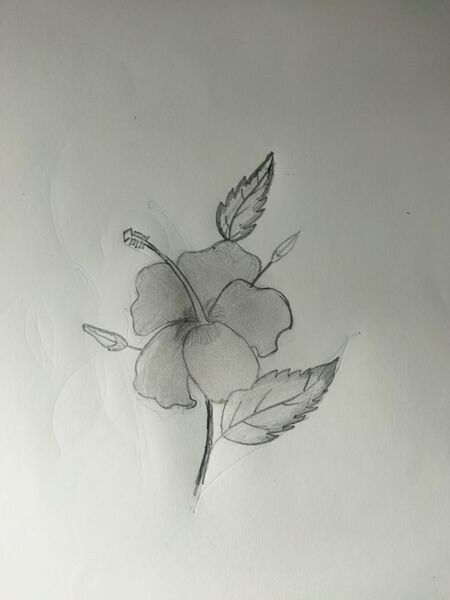 പ്രമാണം:44055 12rty.jpeg