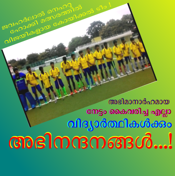 പ്രമാണം:Hockey41030.png