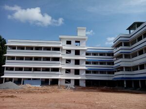 IMG 20150731 154437.jpg