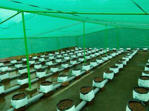 IMG 20180909 40135.jpg