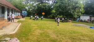 00301-ABMImage 2024-11-02 at 4.28.16 PM.jpg