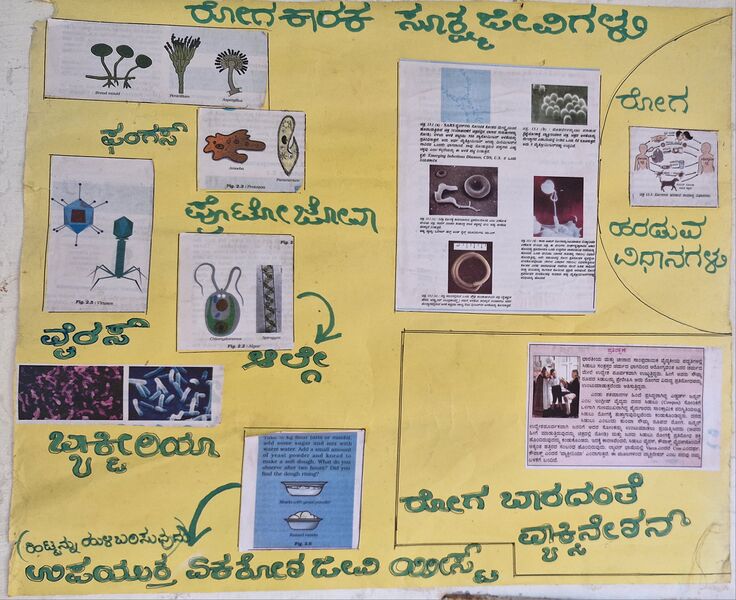 പ്രമാണം:11258 hitech diseases.jpg