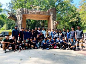 132055 natural kyamp1.jpg