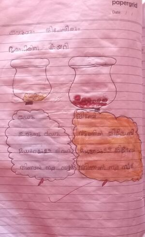 15247-WYD-KUNJ-AMAYA A S.jpg