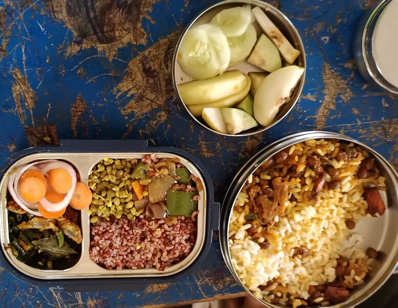 പ്രമാണം:16041 Balanced diet7 2025 Aug.jpg