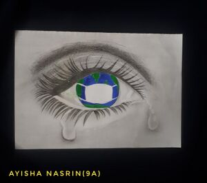 17034-nerkazhcha pic 26.jpg