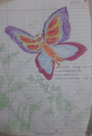 18212-MLP-KUNJ-NASHWA PK.jpg