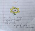 ANLIYA ANTONY,Class 1A