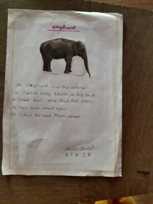 23504-TSR-KUNJ-ANLIN BASIL-.jpg