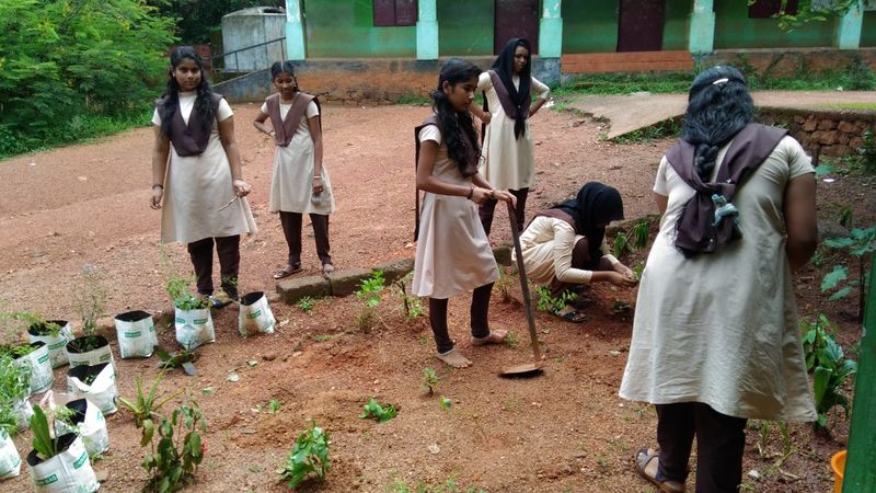 പ്രമാണം:24070 oushada thottam3.jpg